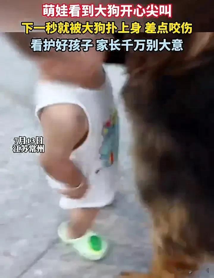 家长带娃一定要认真！7月13日，江苏常州一位家长带孩子出门时，在路上遇到了一条大