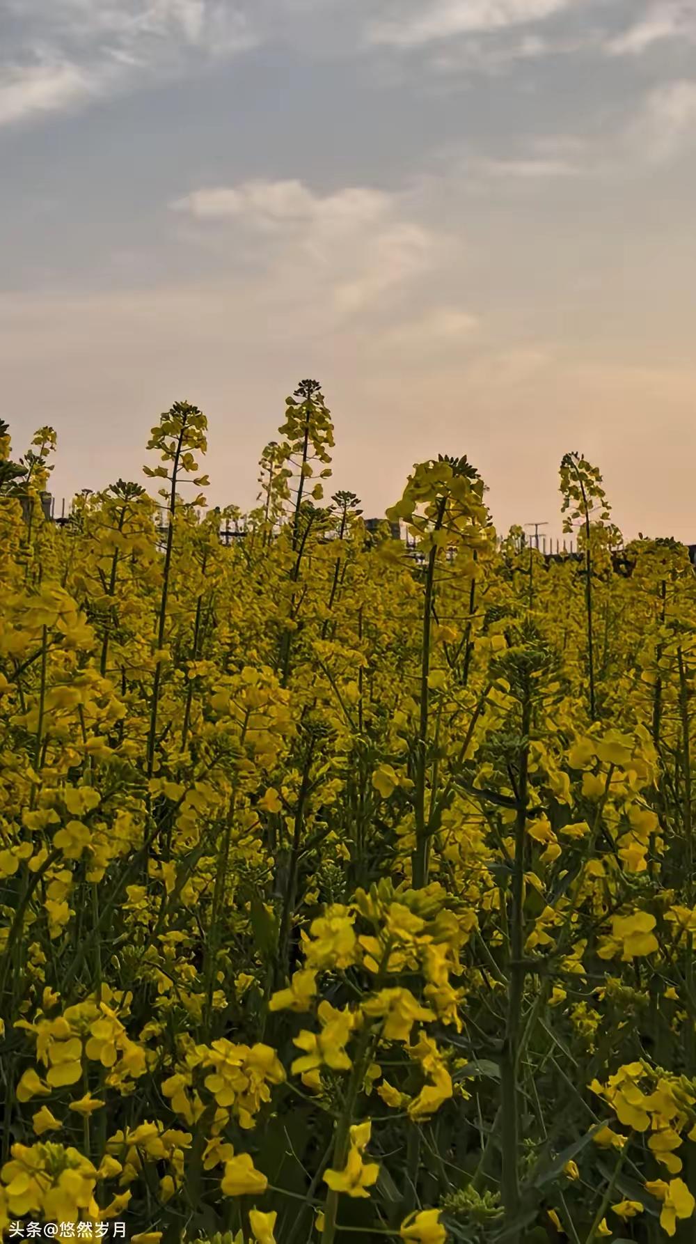 世界上最好的15个免费医生世界上最好的15个免费医生
深夜刷到一条朋友圈，刺痛了