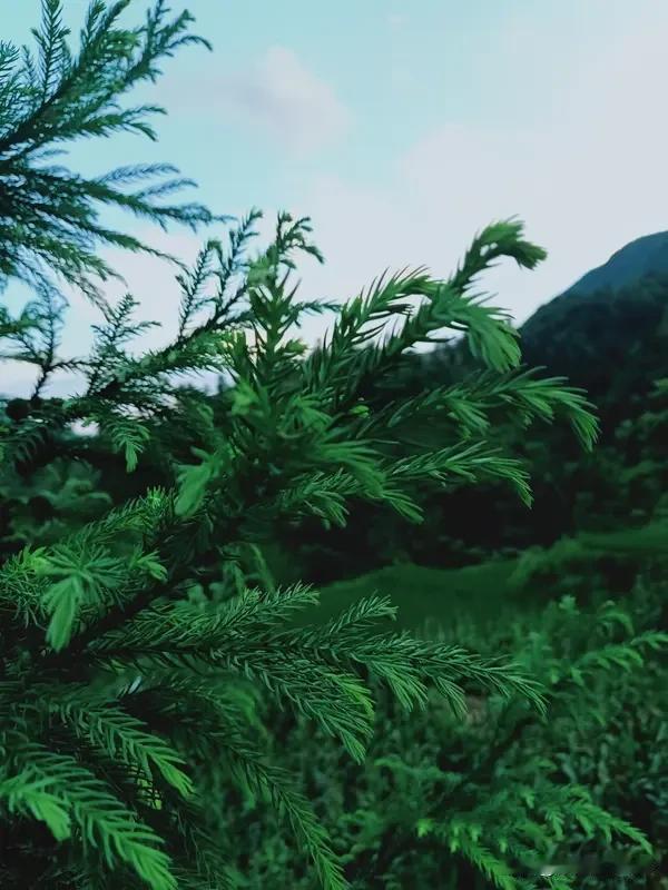 在户外深呼吸时，人会不自觉地放慢节奏，焦虑也跟着稀释。那是生命最原始的连接感，提