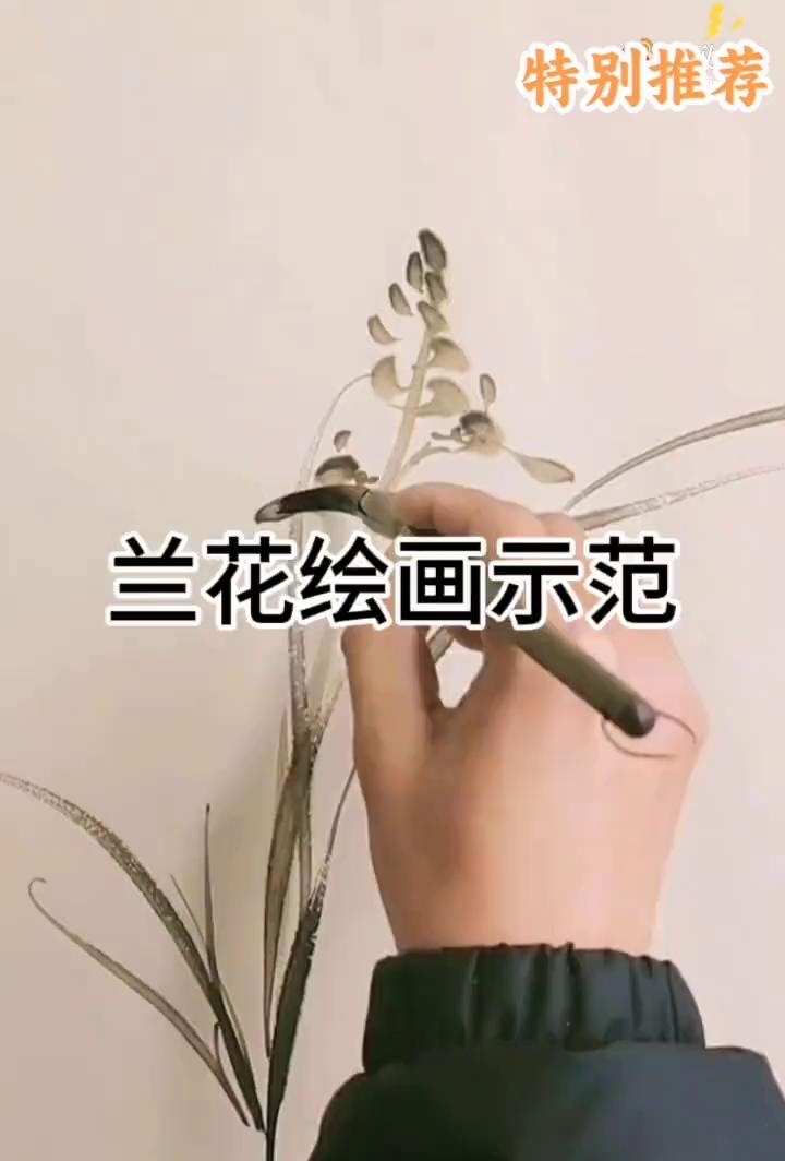 特别推荐兰花绘画示范。