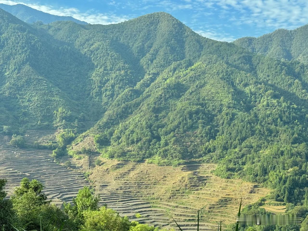  真是绿意盎然，蓝天白云，青山梯田。好看好看😊