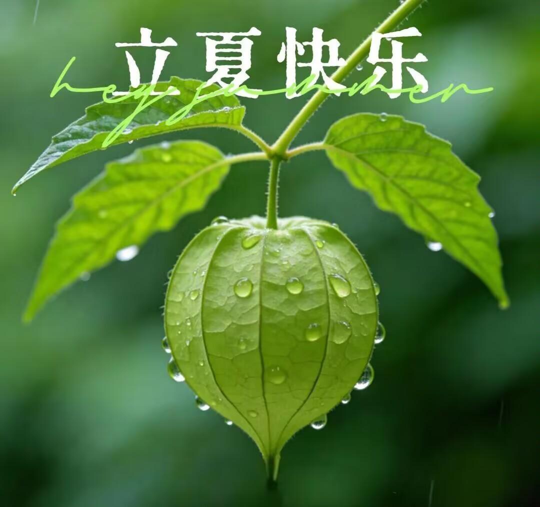 《立夏》

时序悄然更迭 ，
一程春色尽，
人间夏日来。
愿这个夏季：
随性、慵
