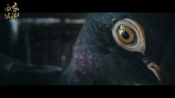 白衣公卿先导预告白衣公卿蓑衣夜行海报是谁被《白衣公卿》先导预告拿捏了？龚俊饰演的