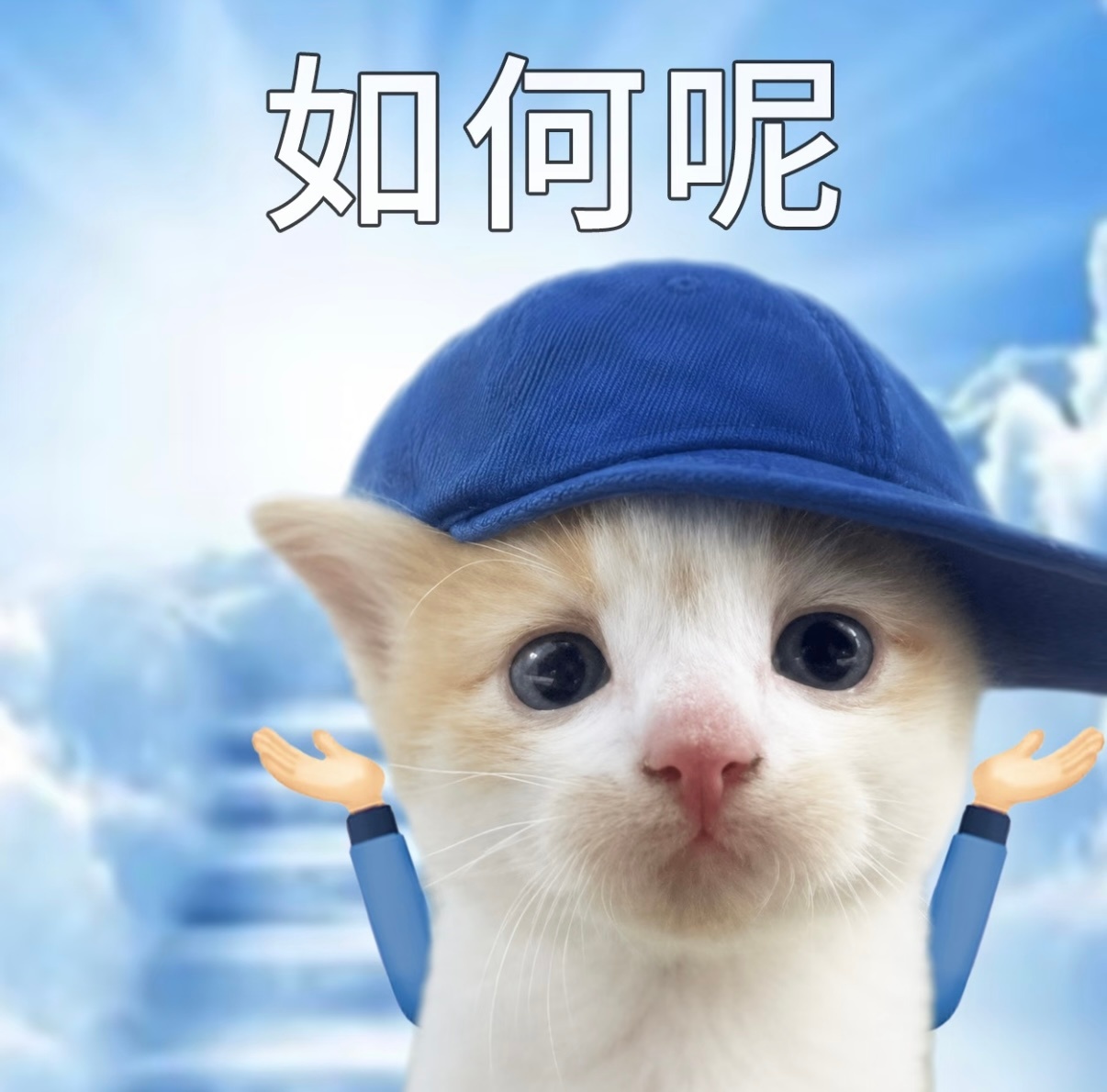 前面五点多的时候抽抽乐销量36.5w抽销售额243万了离内娱女星抽抽乐销售额大拉