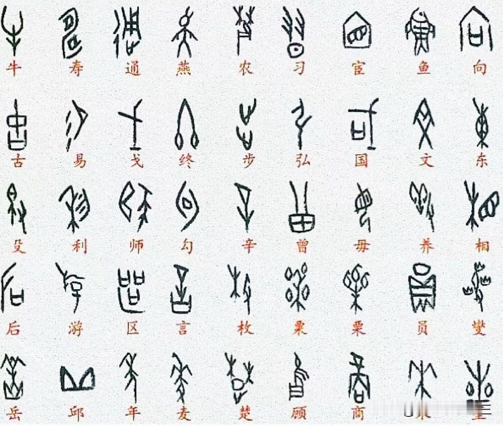 请珍惜、敬重我们的知识。她来之不易！！！
古人为什么要创造文字？为什么要观天象？