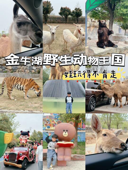 南京🚗1小时｜南京遛娃必打卡的野生动物王国