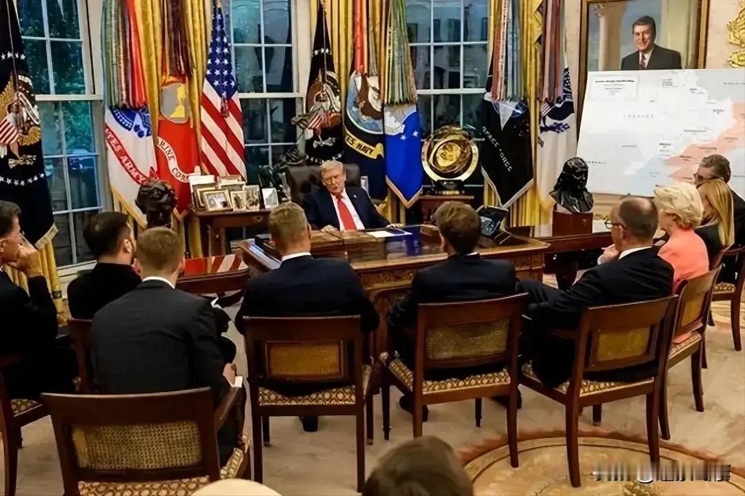 和平鸽嘴里叼着的不是橄榄枝，而是秃鹫的爪子。

所谓“和平委员会”，不过是美国为