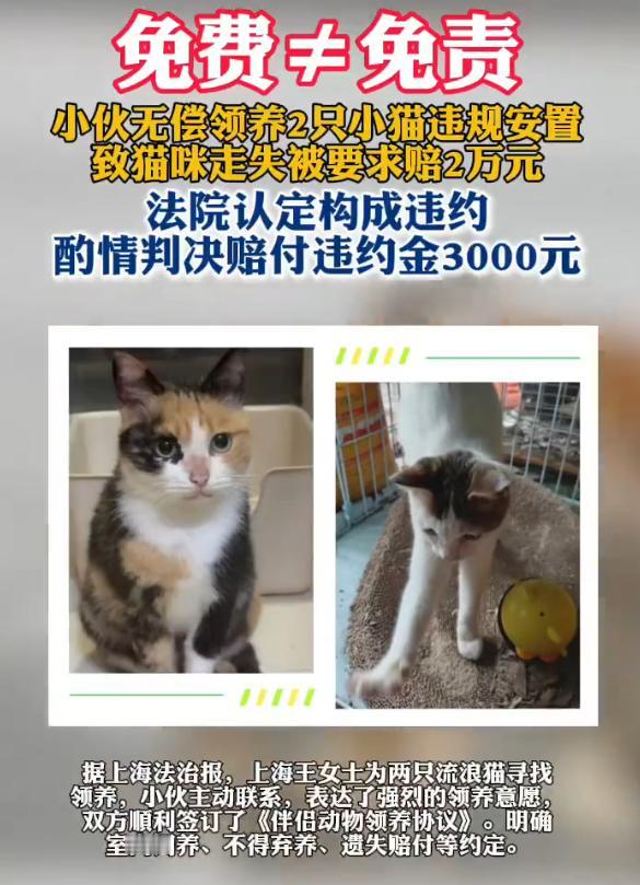 永远记住，免费的东西往往才是最贵的。
上海有个叫小杨的小伙子，弄丢了两只免费领养