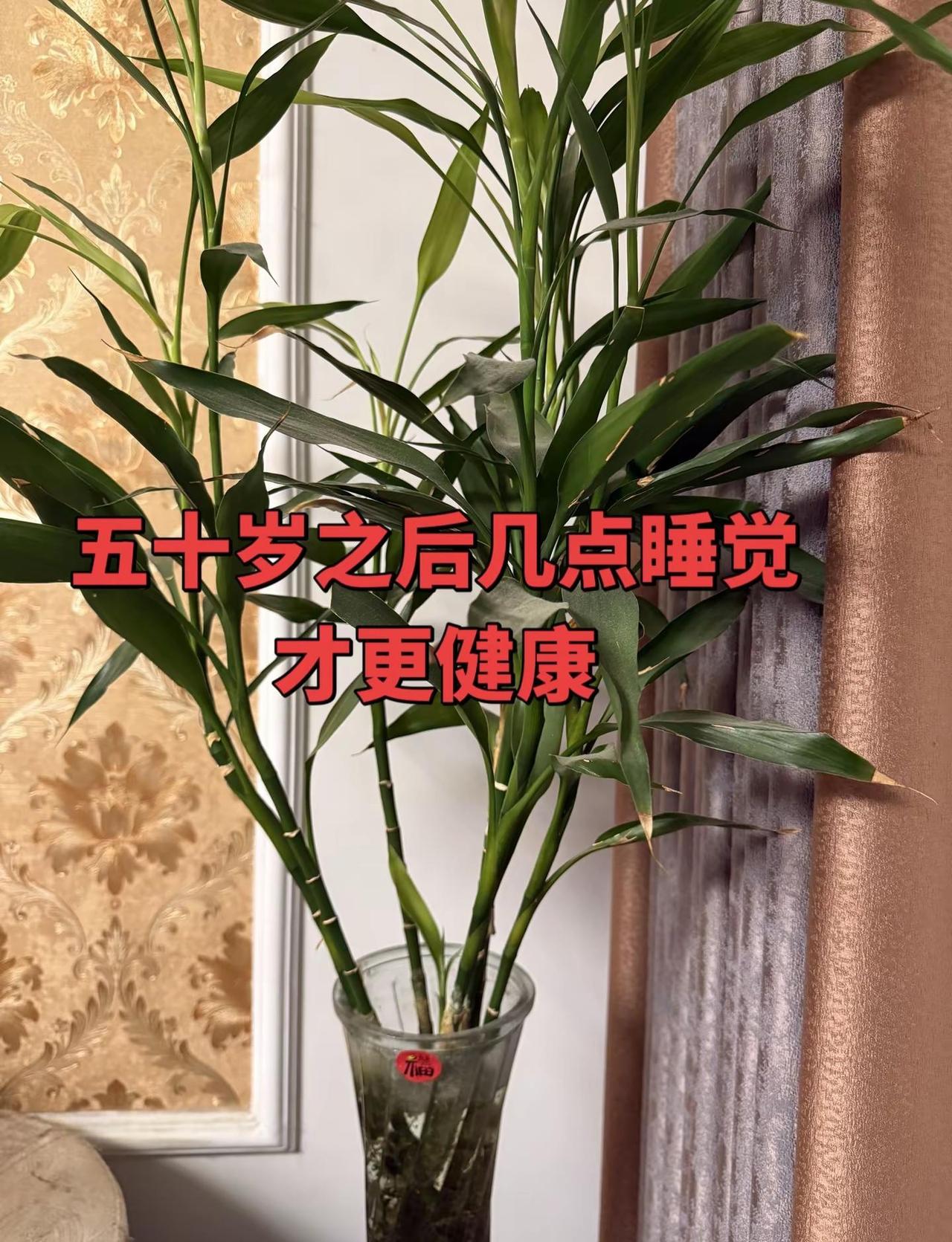 绝境看大胖！0-2落后又怎样？梁靖崑硬是连扳三局上演惊天大逆转，3-2力克艾利克