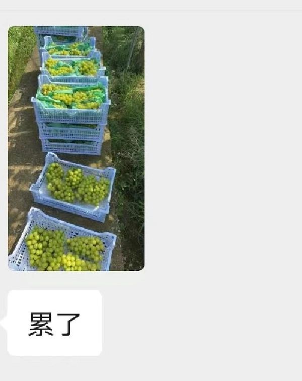 我姐的奇葩相亲对象 ​​​