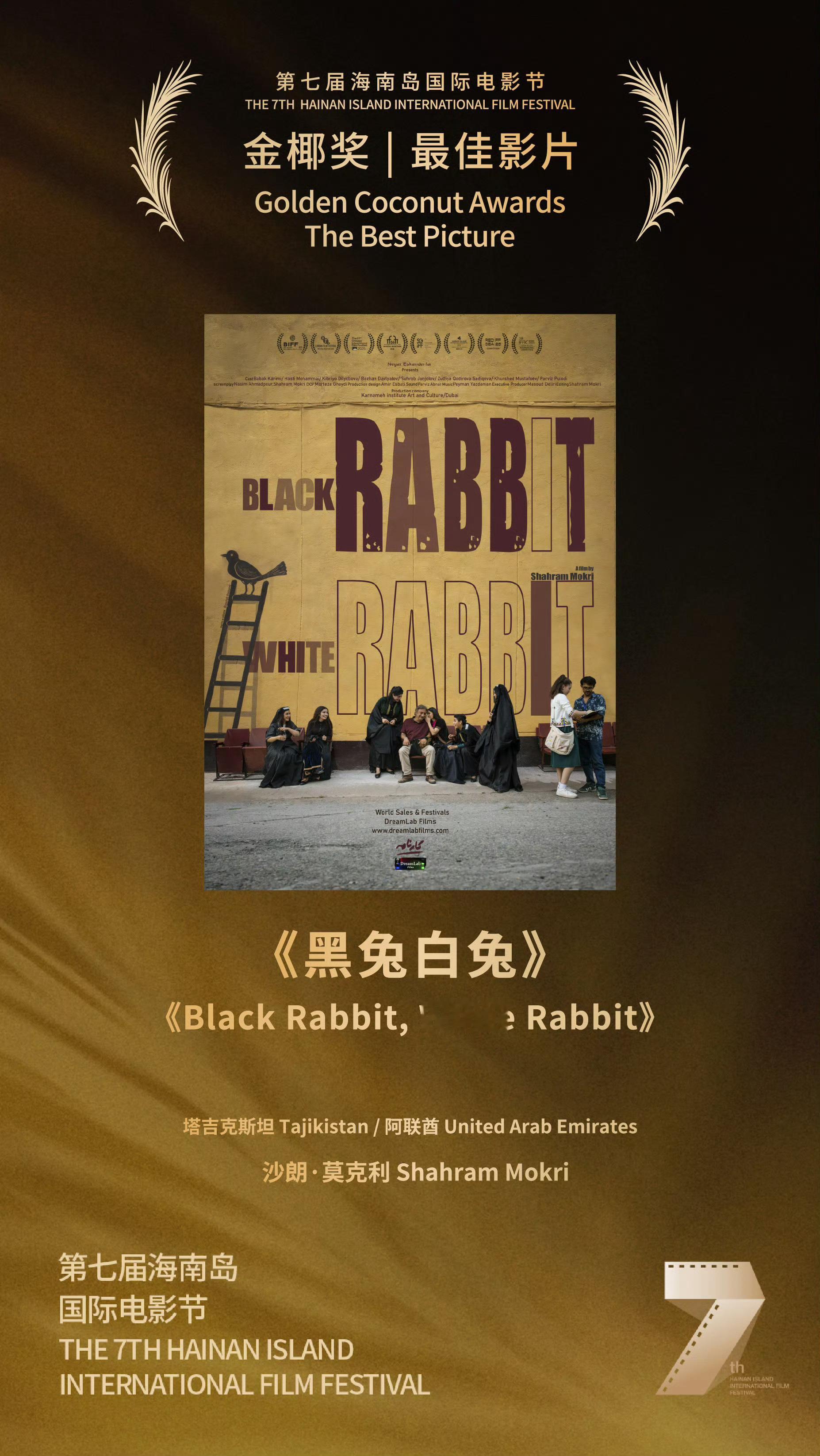第七届海南岛国际电影节完整获奖名单：“金椰奖”最佳影片｜《黑兔白兔》🇹🇯🇦
