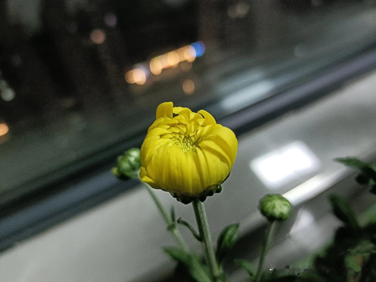 晒图笔记大赛