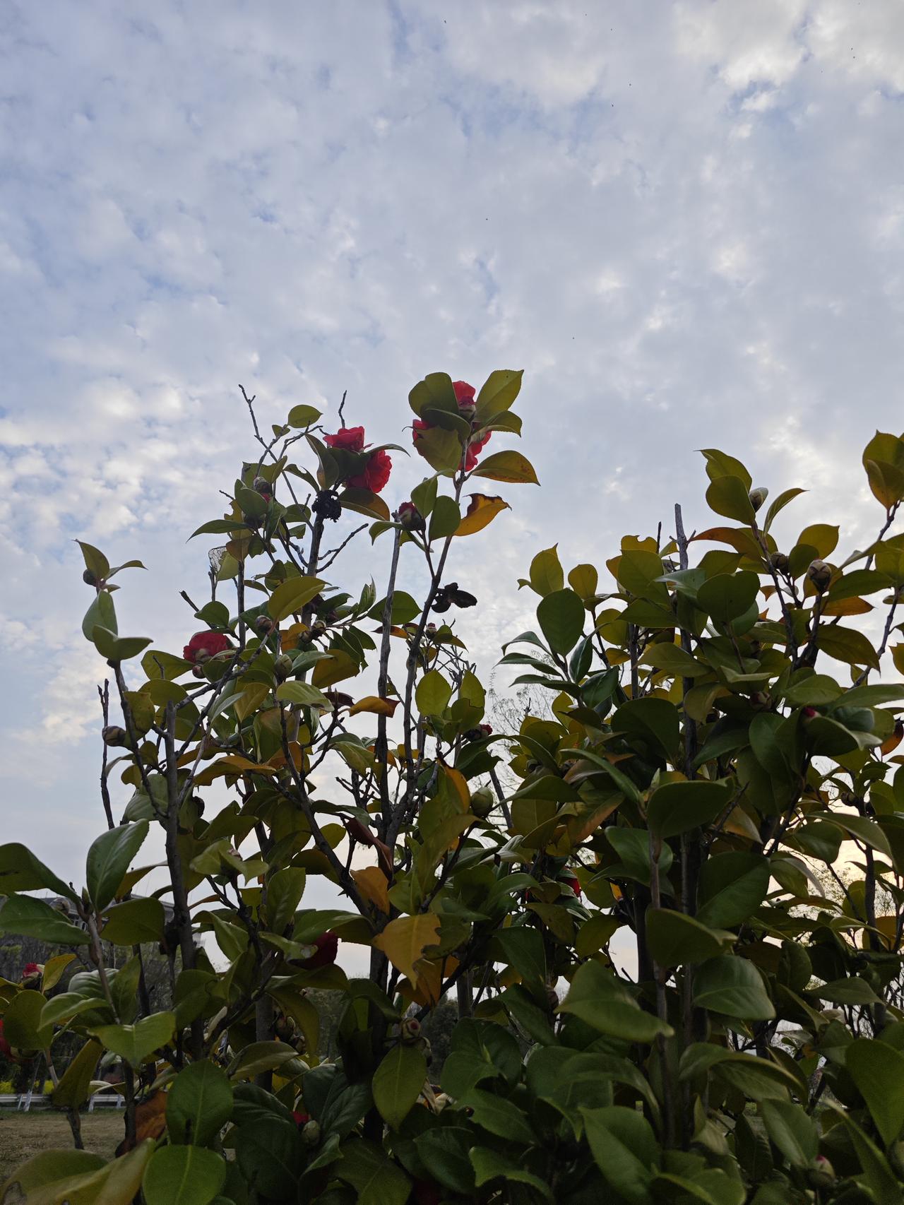 顶级养生，根本不是花钱买补品！

最牛的养生全免费，就仨字儿：别作，常动，心宽。