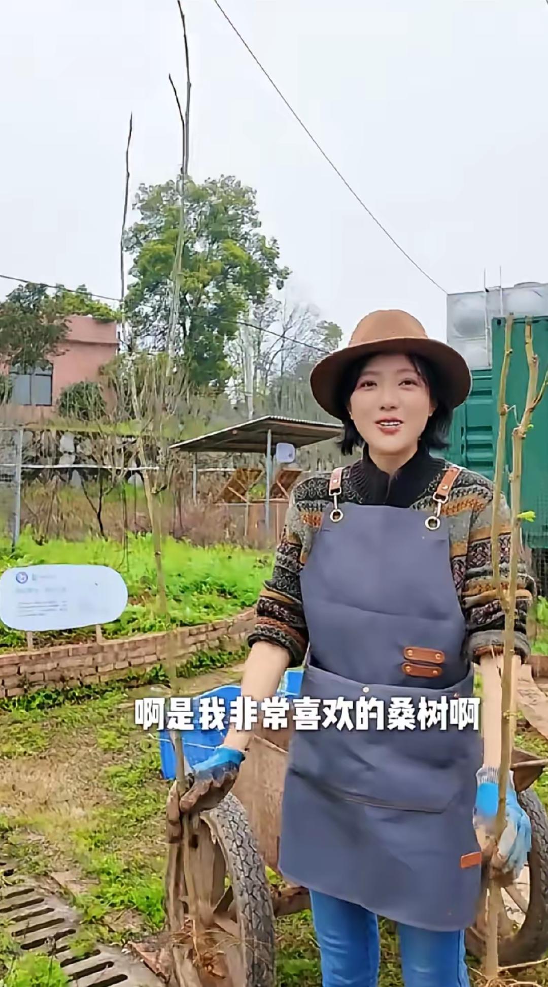 汪涵老婆杨乐乐在长沙承包了几块地。一块用来种香草，一块用来种草药，剩下的种点自己