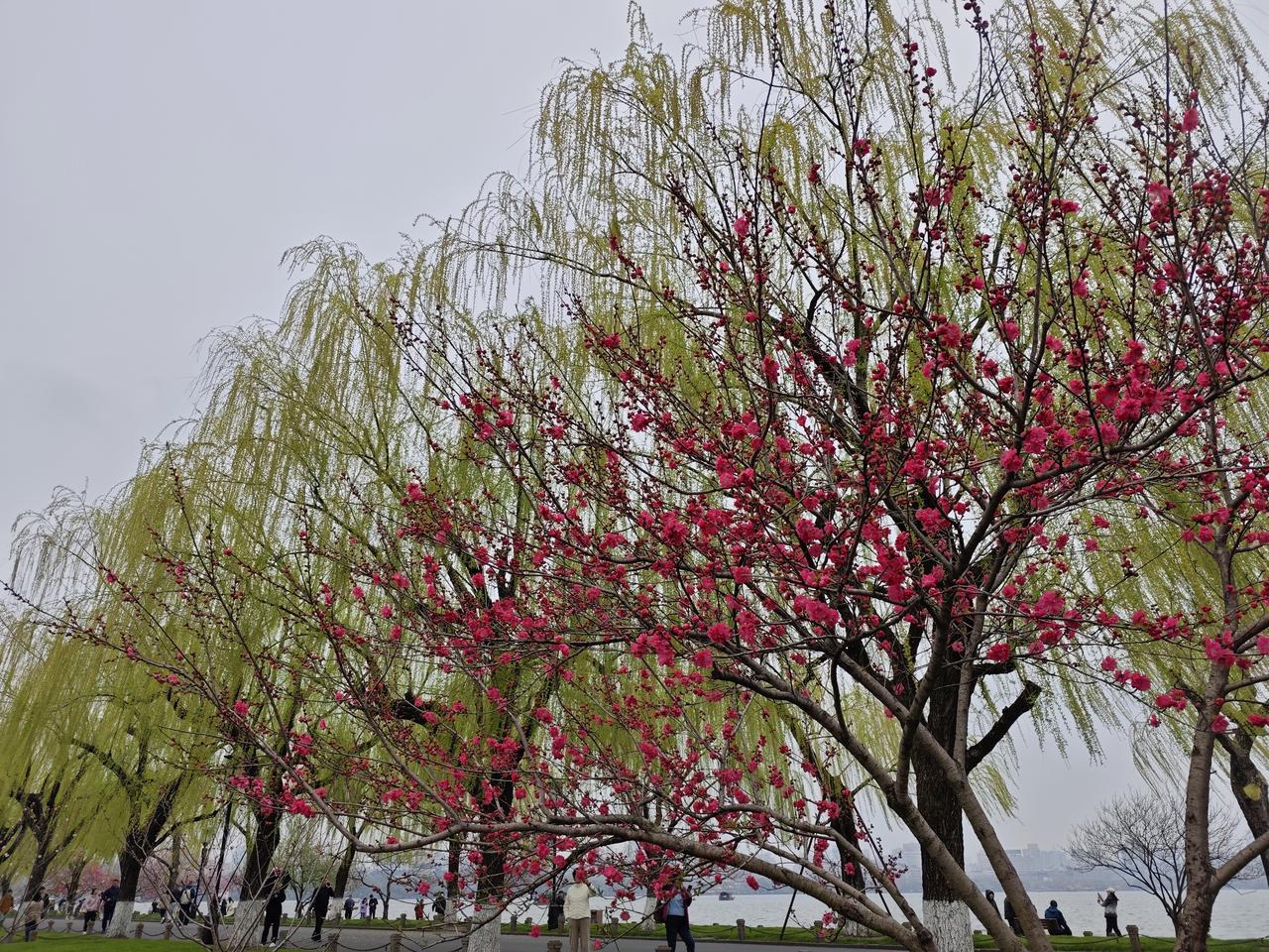 春天给人们带来希望，春天给人们带来美景，一日之计在于晨，一年之计在于春。我们无法