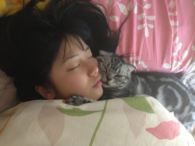 杂乱收藏间 02 😴 ​​​