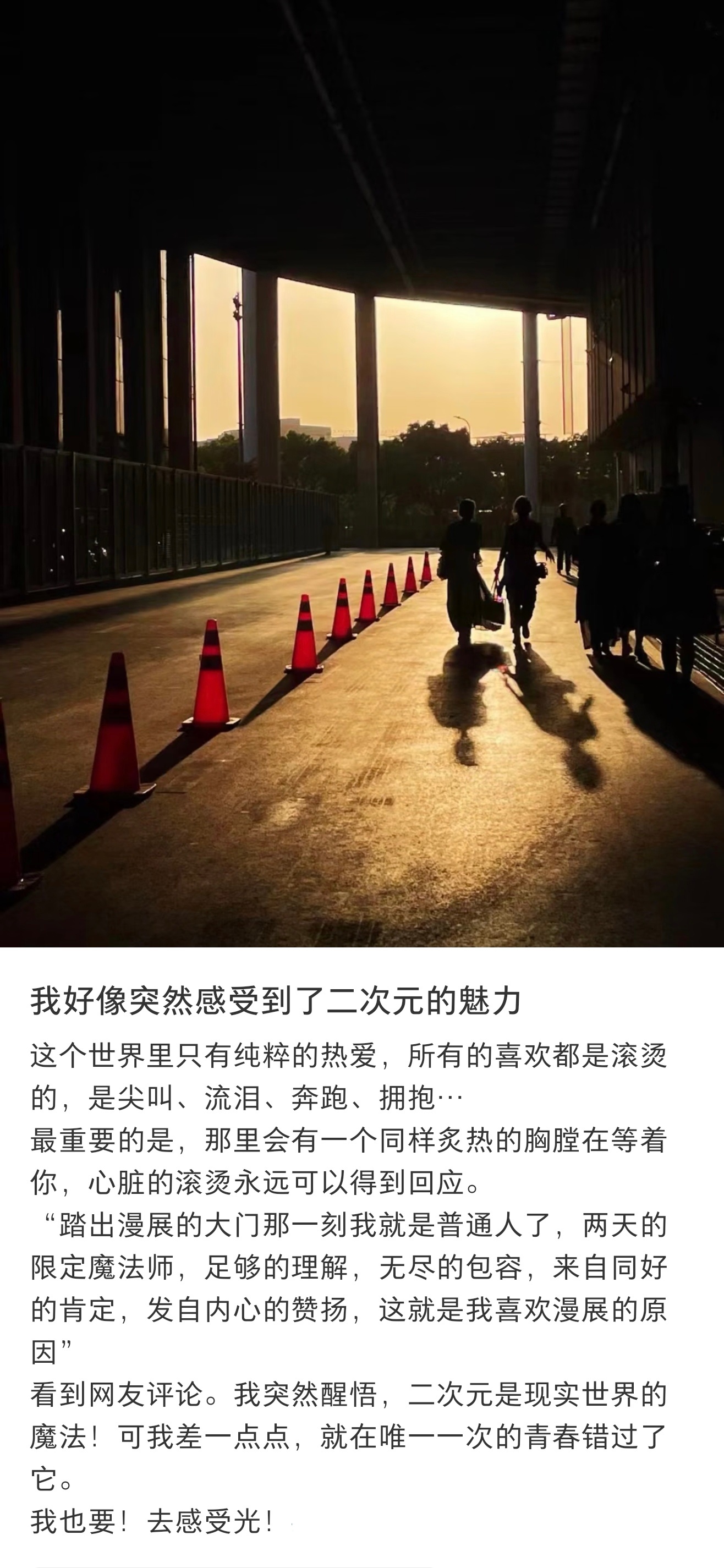 突然感受到了二次元的魅力 