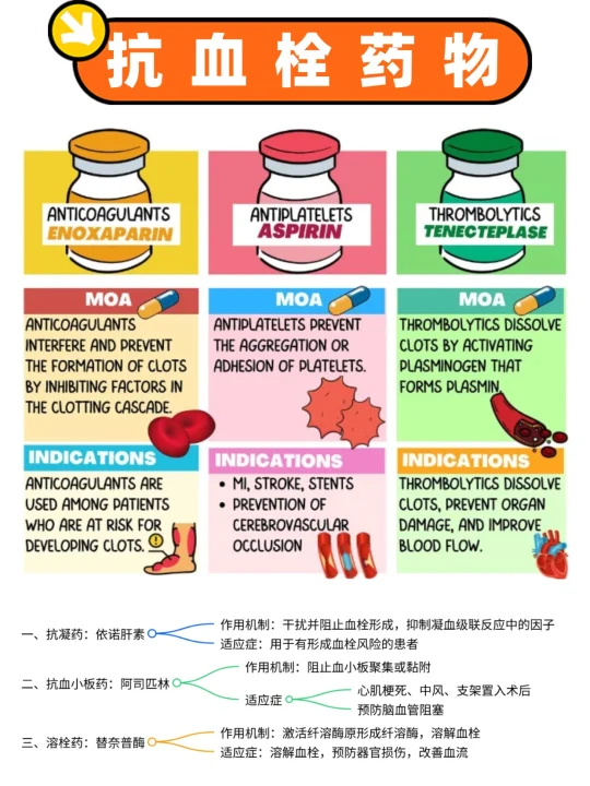 备考RN/抗血栓药物！！学！！内容