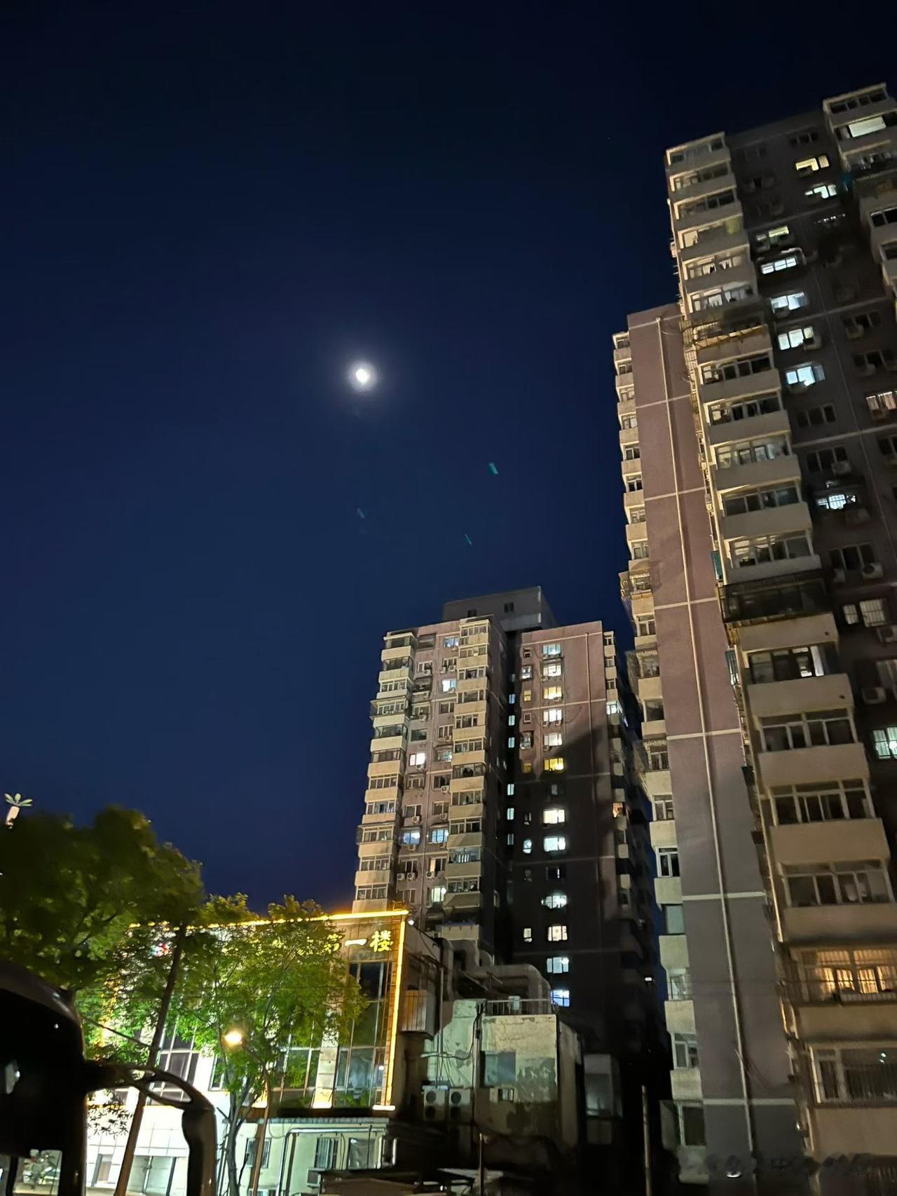 春日生活打卡季夜晚钓京城