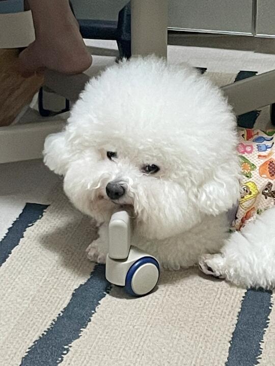 别管我 我还能再坚持一下