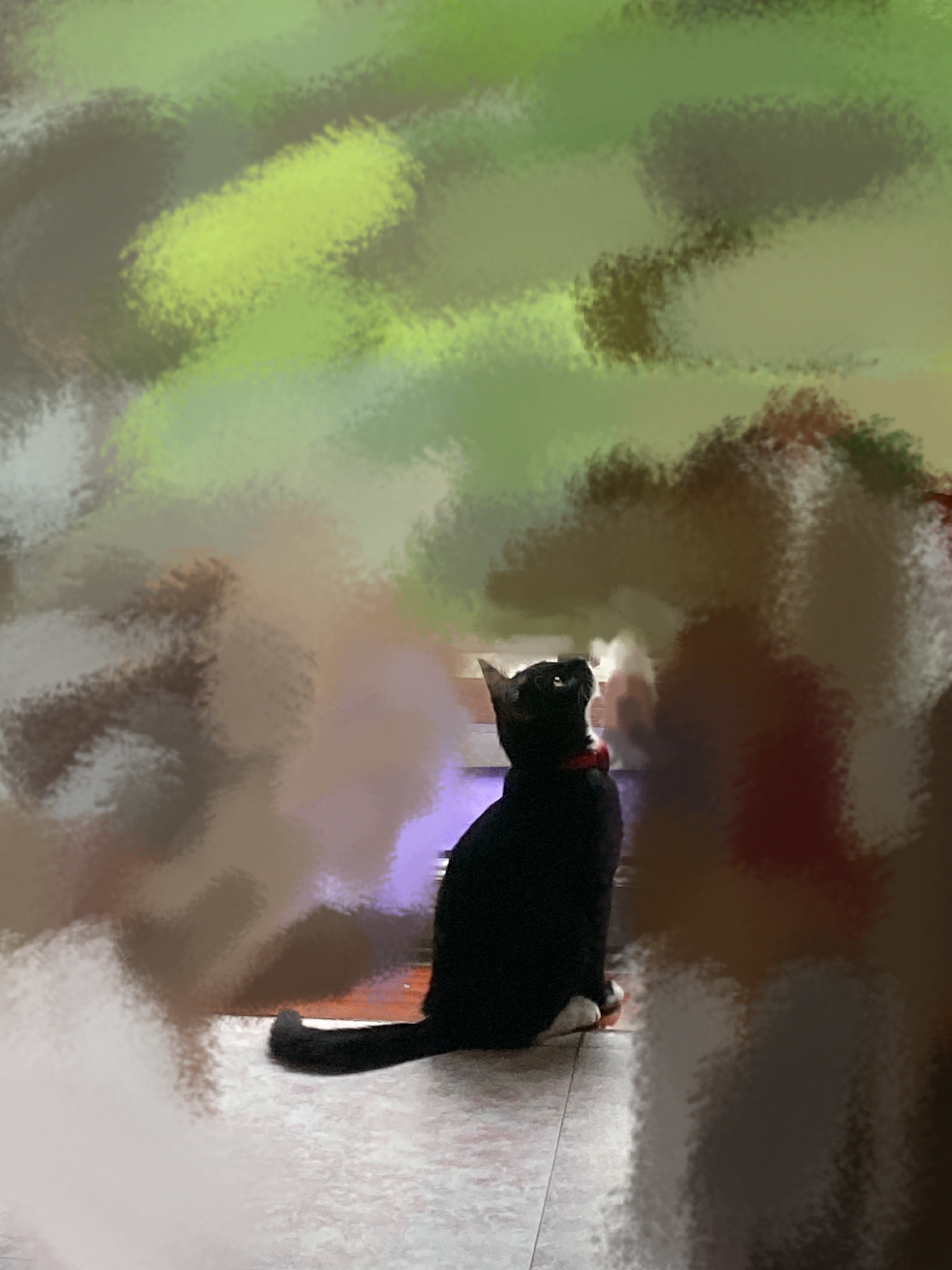 小猫🥺🫳🫳🫳 