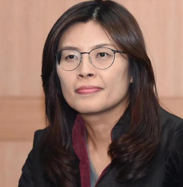 洪秀柱来大陆时口号喊的震天响，“我们都是中国人，九二共识一中同表”，但回台湾却是