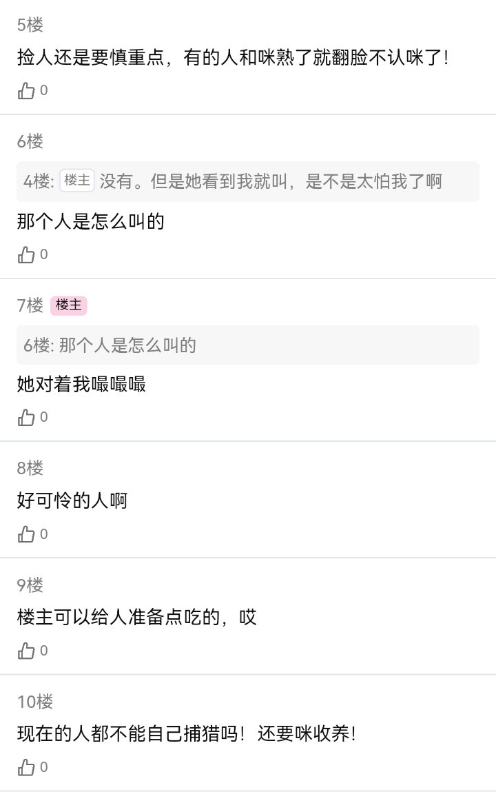 【4848】小猫论坛：咪捡了个人，要收养吗？(当你捡到饼咪之饼咪视角) 