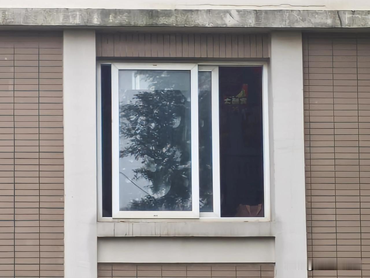 每天一早都从这窗子里传出一阵阵演讲、一阵阵鼓掌、一阵阵喊叫声，仔细听来有一位领导
