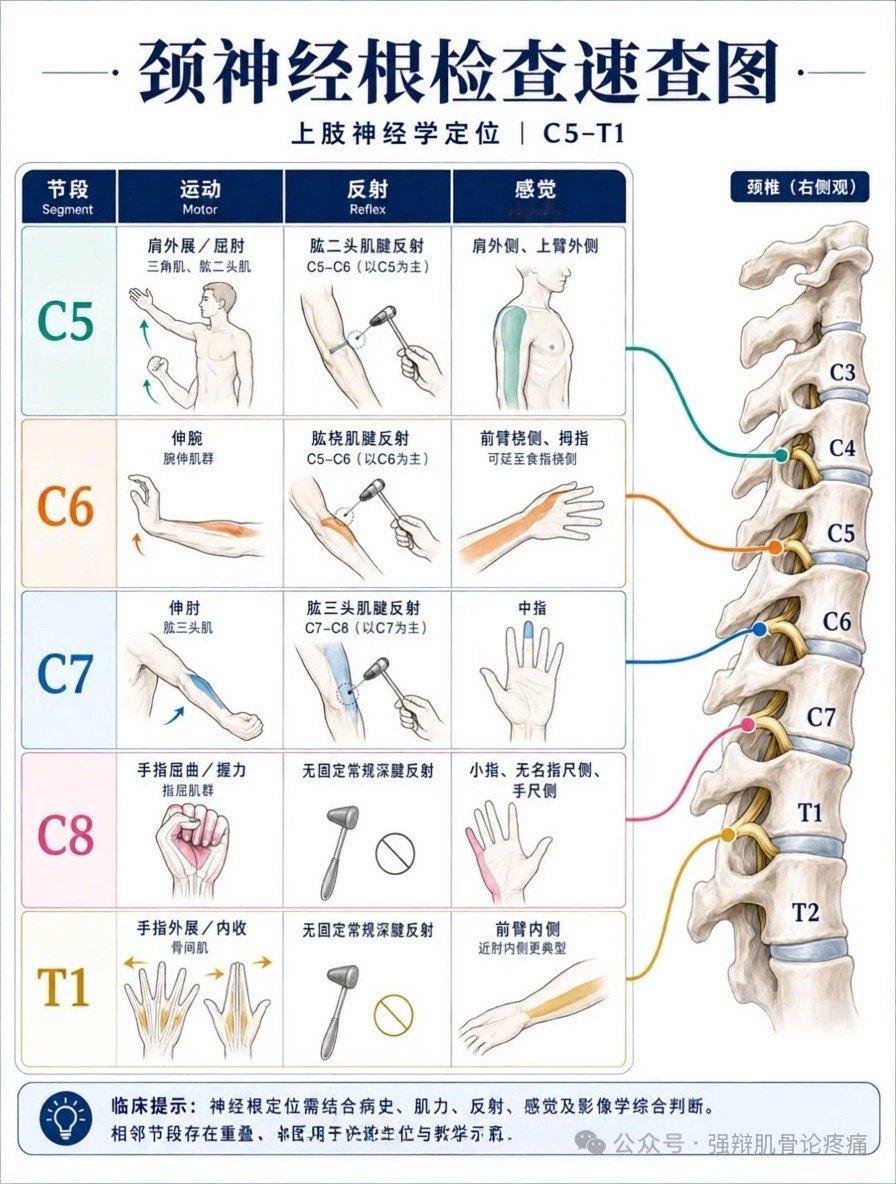 检查…… ​​​