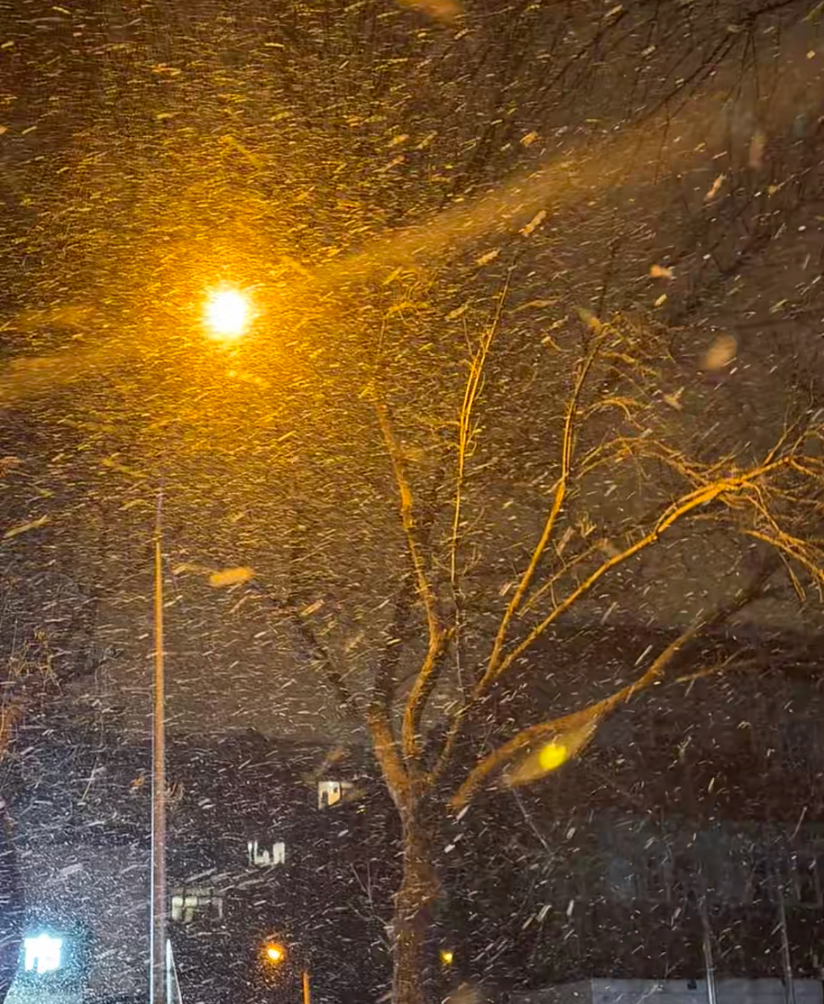 家人们，北京的雪杀疯了，好漂亮，感觉这场雪下的好温柔❄️北京下雪今天的北京是纯白