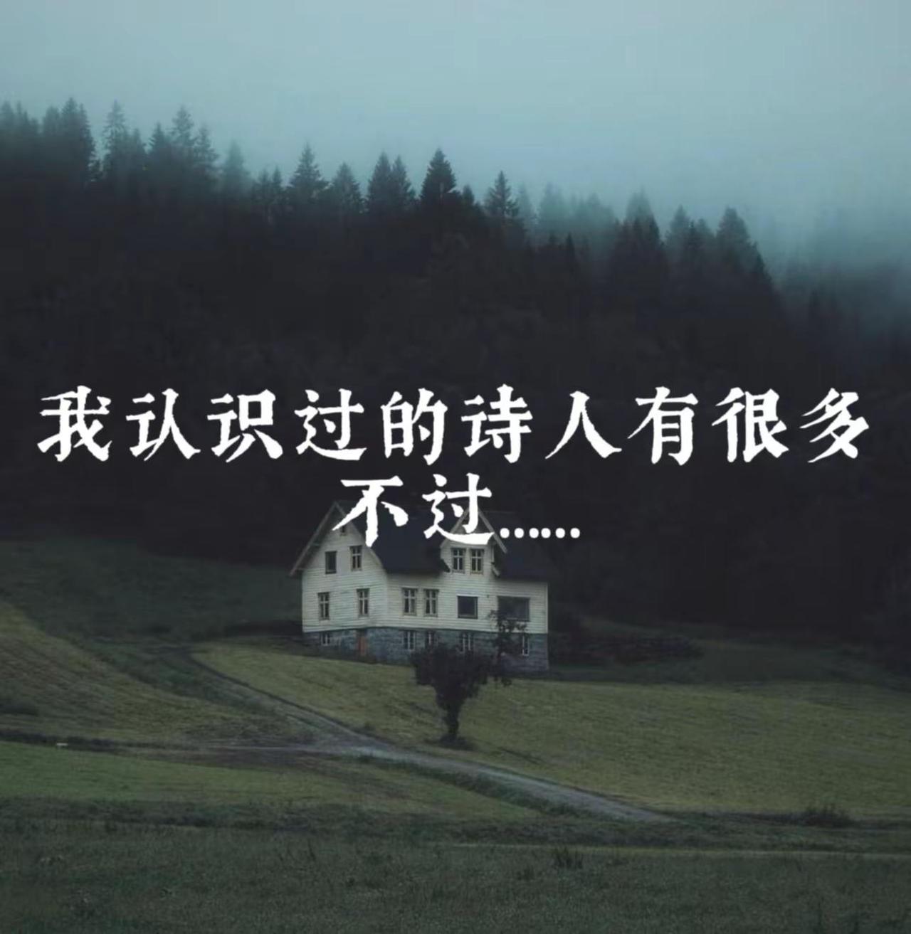 我认识过的诗人有很多，不过……