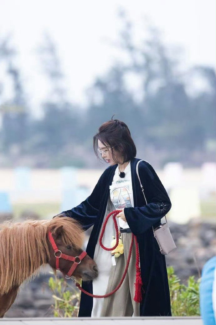 进去一个秦岚出来一群秦岚岚姐前一秒还在说你们模仿不了我后一秒张宸逍直接零帧开嗓，