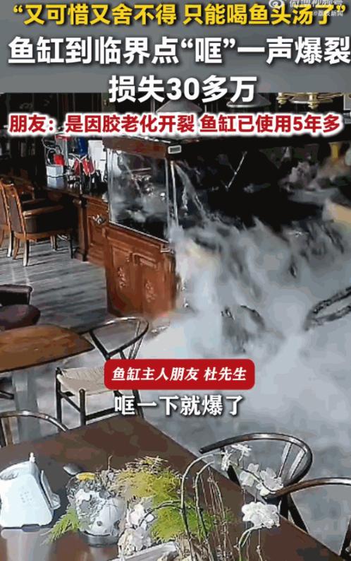 太惨了！6月15日报道，江苏，一男子家的大型鱼缸在装满整整4吨水后，毫无征兆地突