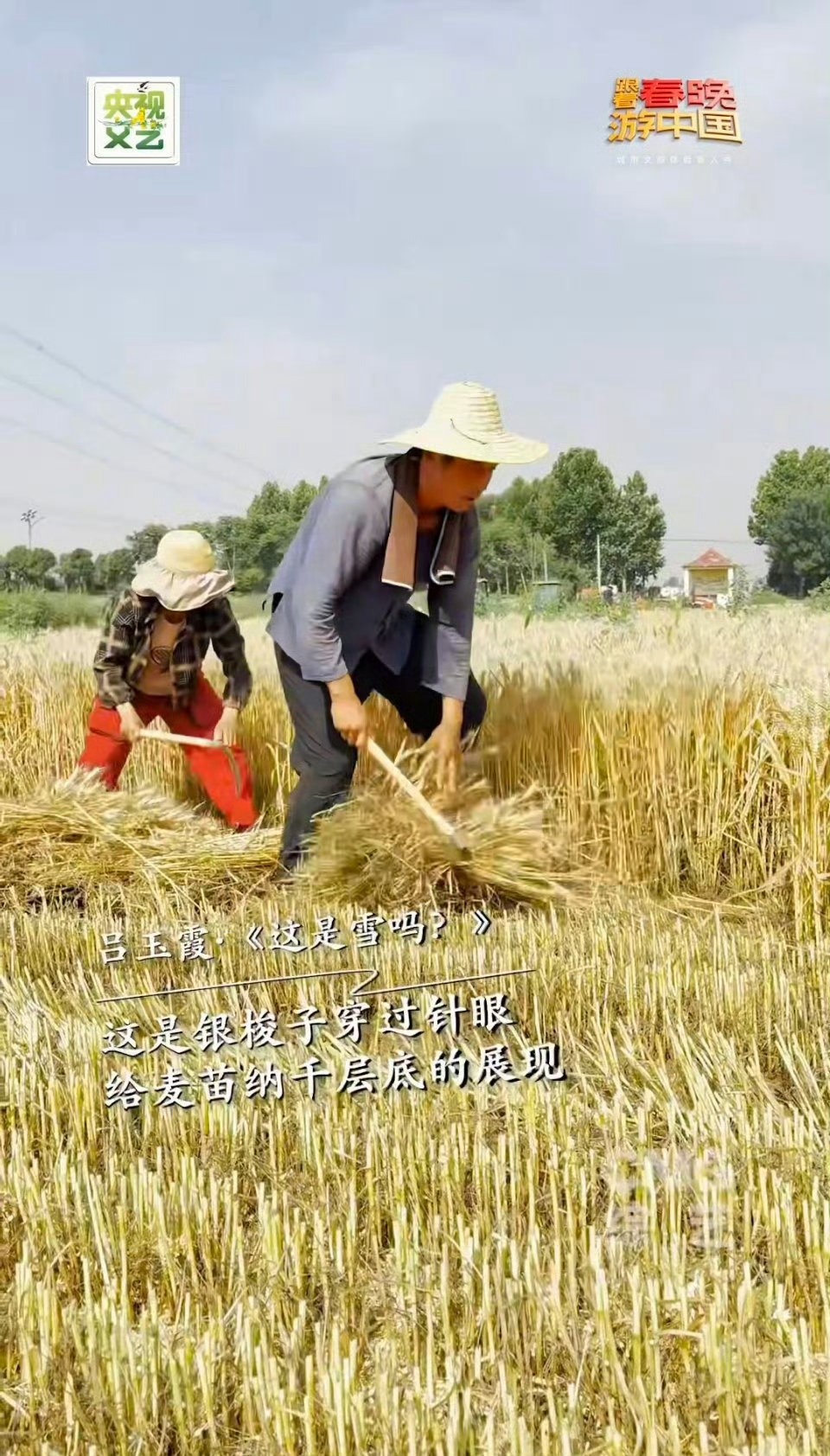 普通人把生活写成诗跟着春晚游中国遇见民间诗人跟着春晚游中国 麦田翻涌成金色的浪，