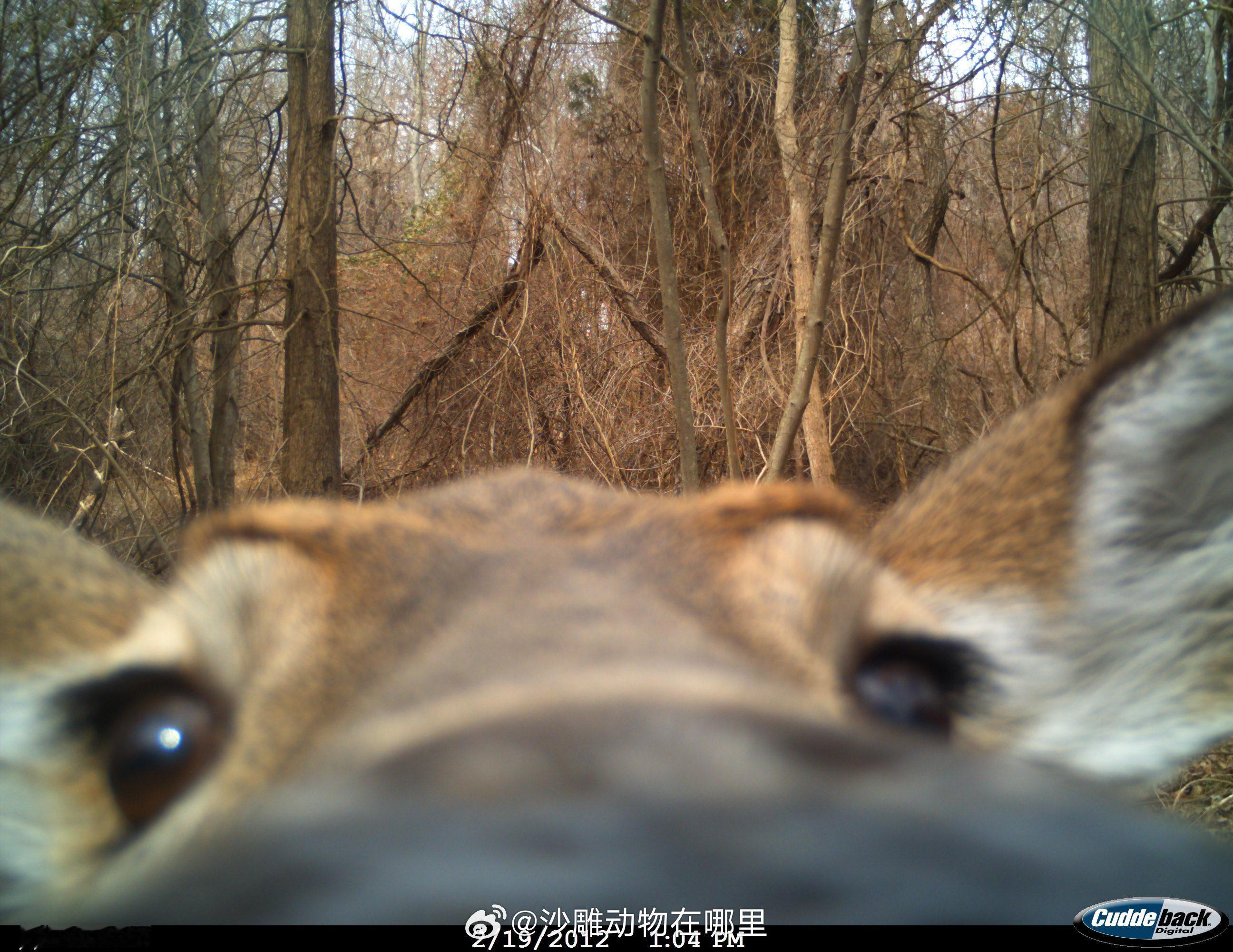 “嗨~~里面有人在嘛” ​​​