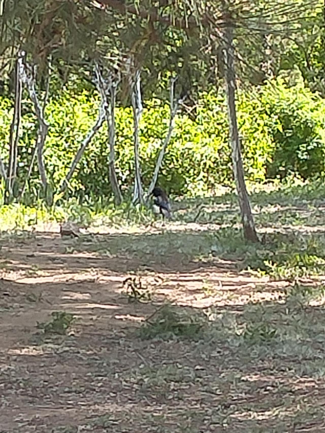 能分享你家乡的美景照吗