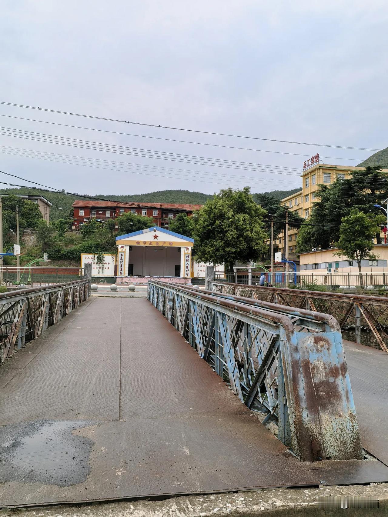 下午参加完一天的社区支部学习教育上党课活动回家，正碰上我妈和邻居老太太坐在核桃树