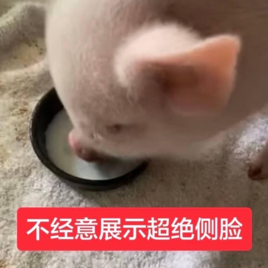 找我发小要了店铺名又点了这个饭团 上回加麻球吃到最后有点腻 这回纯糯米 