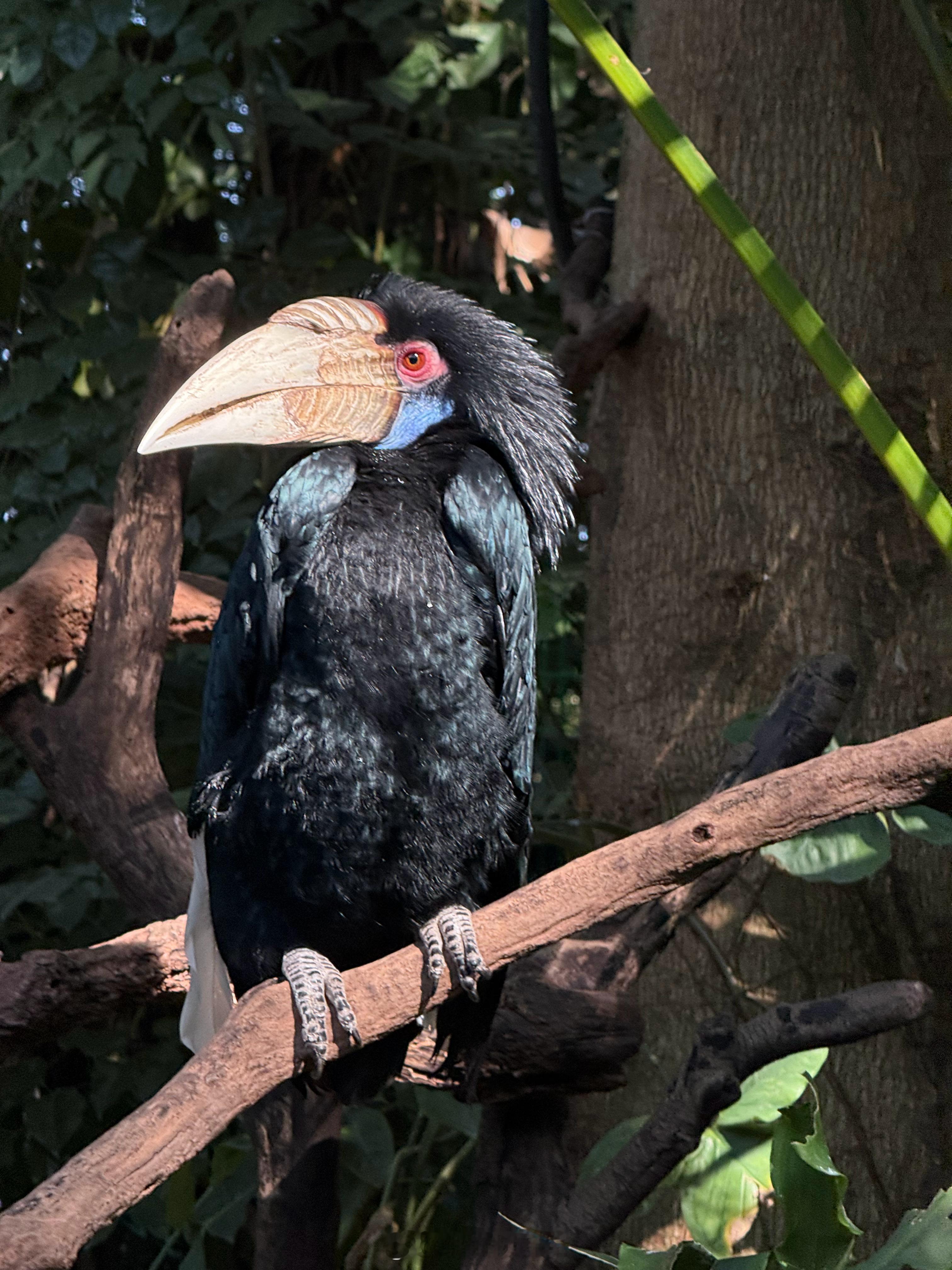 一到年底会阶段性莫名焦虑，早上经常早醒很难再睡着，一阵一阵的挺奇怪的。不过刚细想