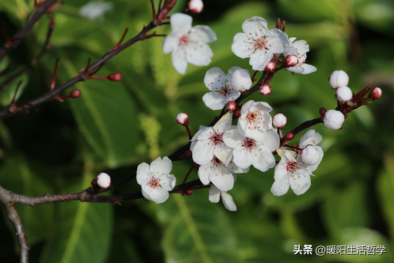 生活很难，
但每天的小开心、小安稳、小满足，
都值得我们认真去接住。
不必急着长