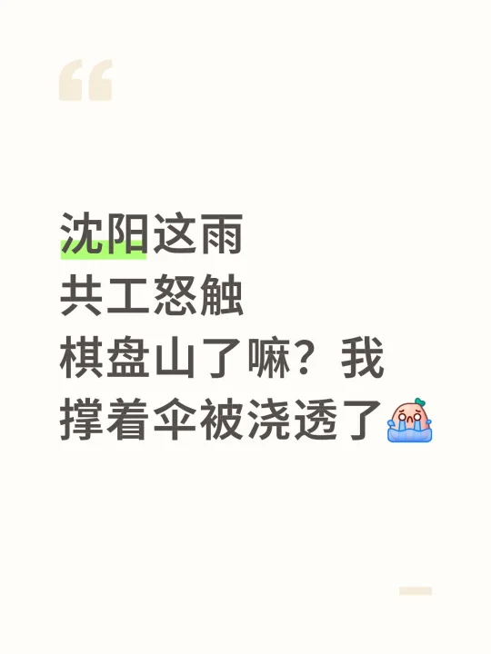 沈阳这雨 共工怒触棋盘山了嘛？我撑着伞被浇透了[哭惹R] 世界第五大洋...