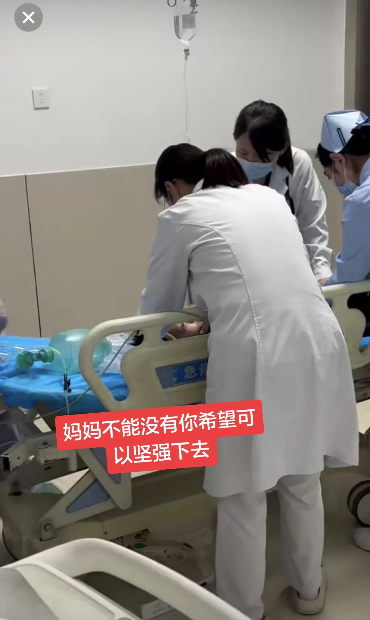 我养了你10年了这么多年都熬过来了…这一次你一定可以……