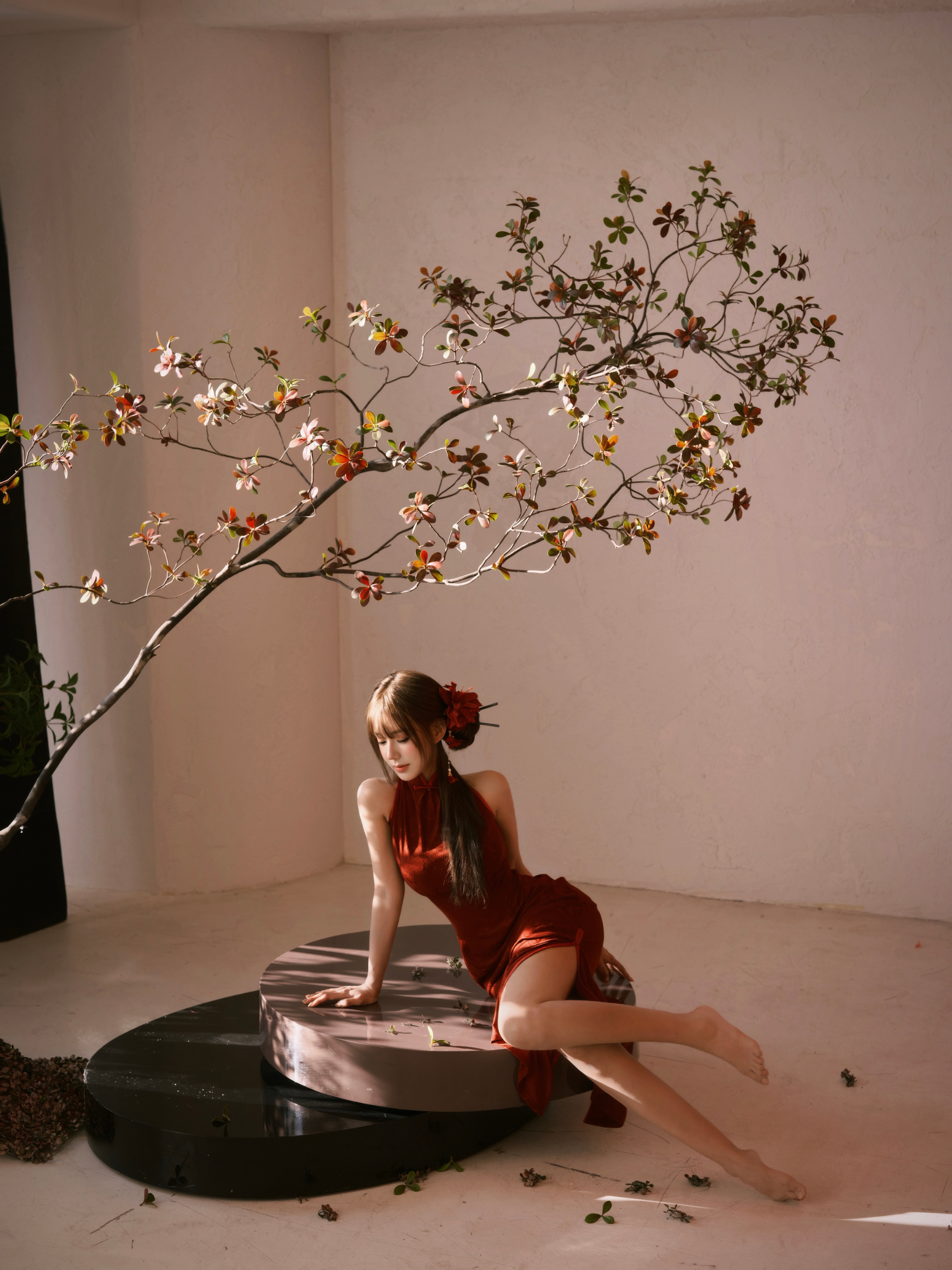 昭昭如愿 岁岁安澜🪭 