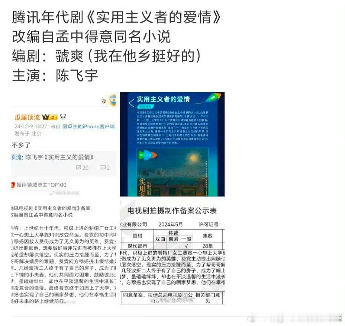 《实用主义的爱情》年代剧编剧：虢爽（我在他乡挺好的）导演王之主演：陈飞宇 +郑湫