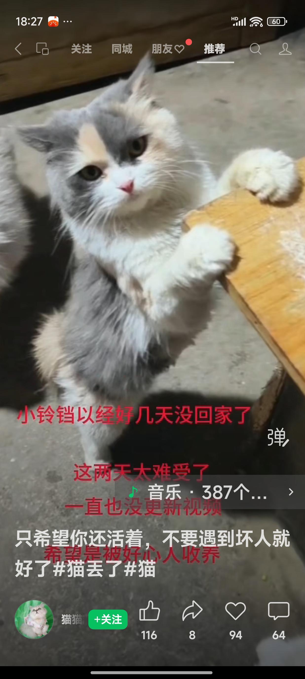 网友的猫咪小铃铛走丢了，已经好几天没回家，也不知它是否安然无恙。
网友常发抖音，