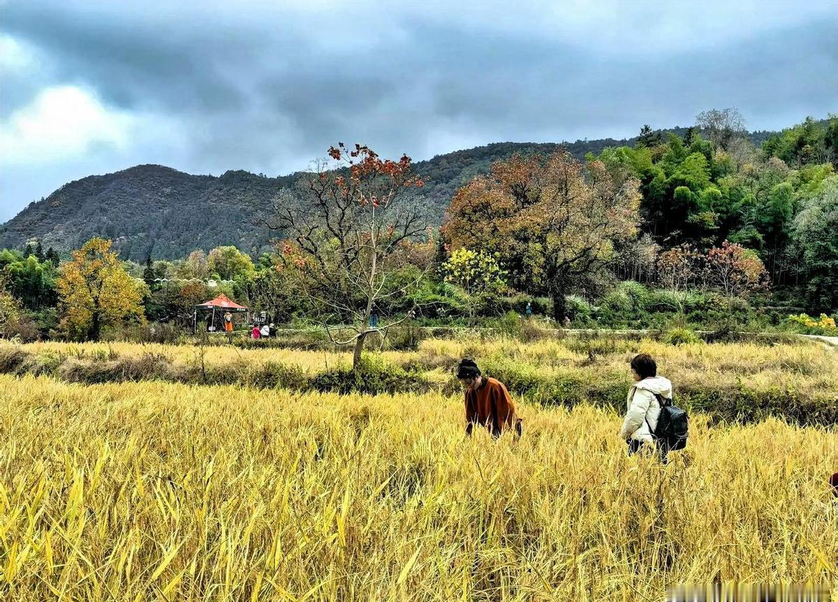 50岁女会计再就业三个月突发脑梗，退休金五千块不够花，还得自己扛病。
这事儿真不