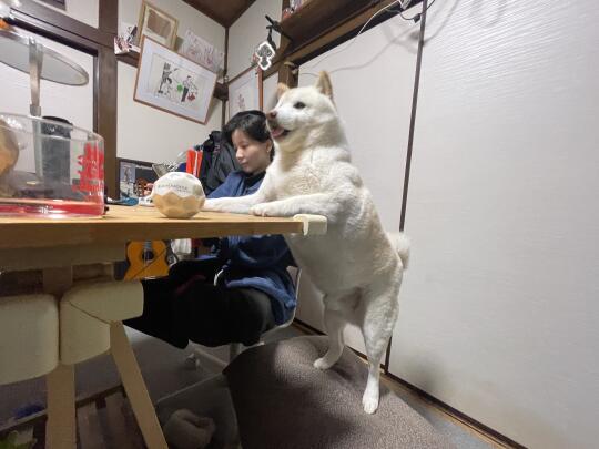 同桌的你