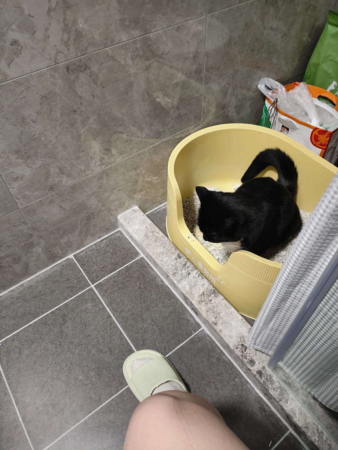 他为什么非要跟我双排上厕所啊，脚趾扣地了