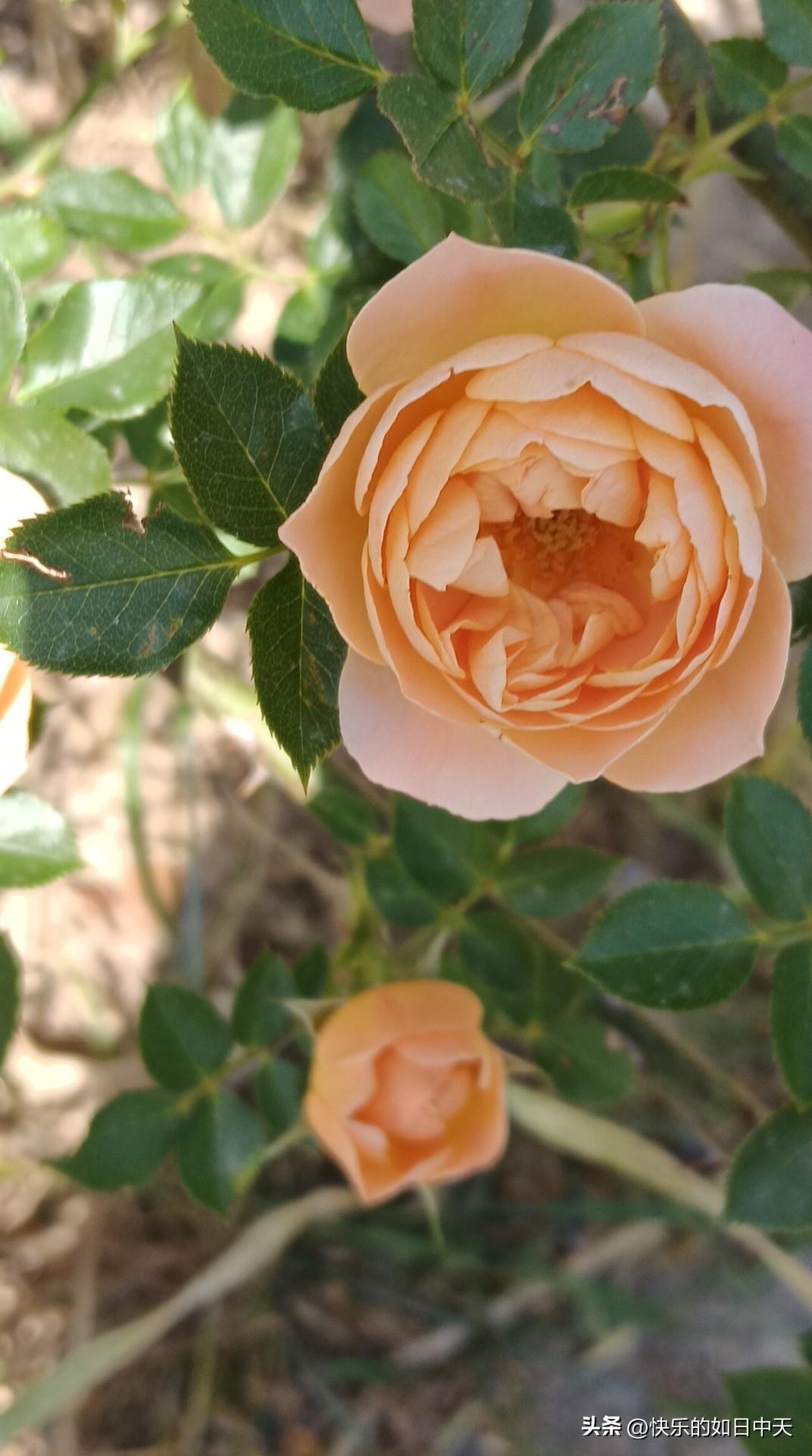 很多人一说起“风水”，脑海里立刻浮现出的是罗盘、貔貅、或者家里哪个角落该摆个鱼缸