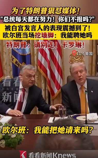 这两人在白宫争夺一个女人！消息称，欧尔班在白宫当着美国总统的面挖墙脚，问唐纳德，